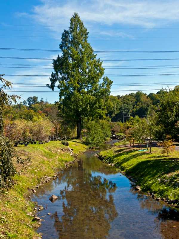 Officials To Study Flood-Prone Area In Westchester, Provide Recommendations For Prevention