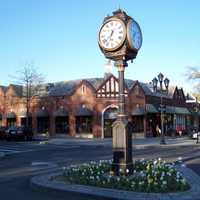 Scarsdale Library Seeking Residents to Share Skills During Library Week