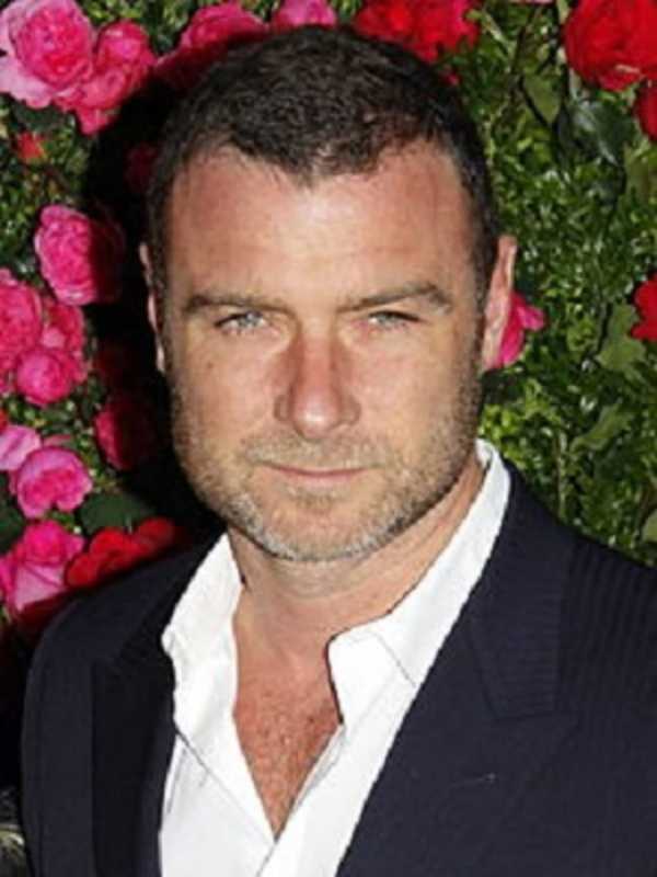 Dutchess Resident Liev Schreiber Gets 2017 Emmy Nod For 'Ray Donovan'