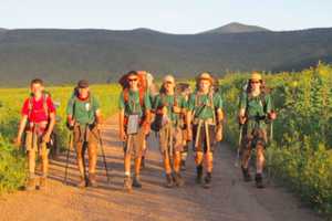 New Canaan's Boy Scout Troop 70 Invites New Faces To Picnic In Waveny Park