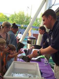 Reading, Innovation To Be Celebrated At Norwalk Children's Museum Event