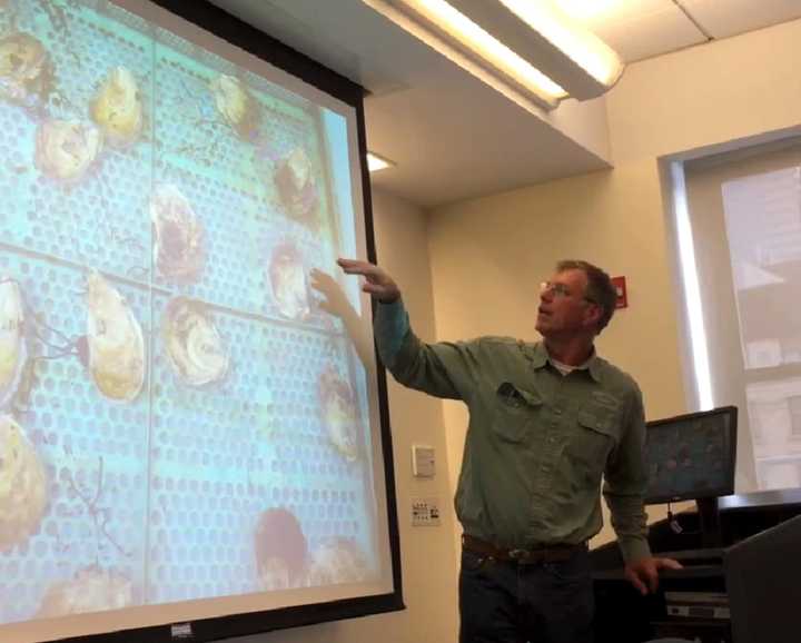 Pace University hosts educators from the Billion Oyster Project, a non-profit group that hopes to restore oysters to New York City&#x27;s waterways.