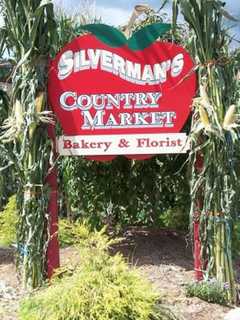 Fairfield County Is 'Ripe' With Apple Picking Possibilities