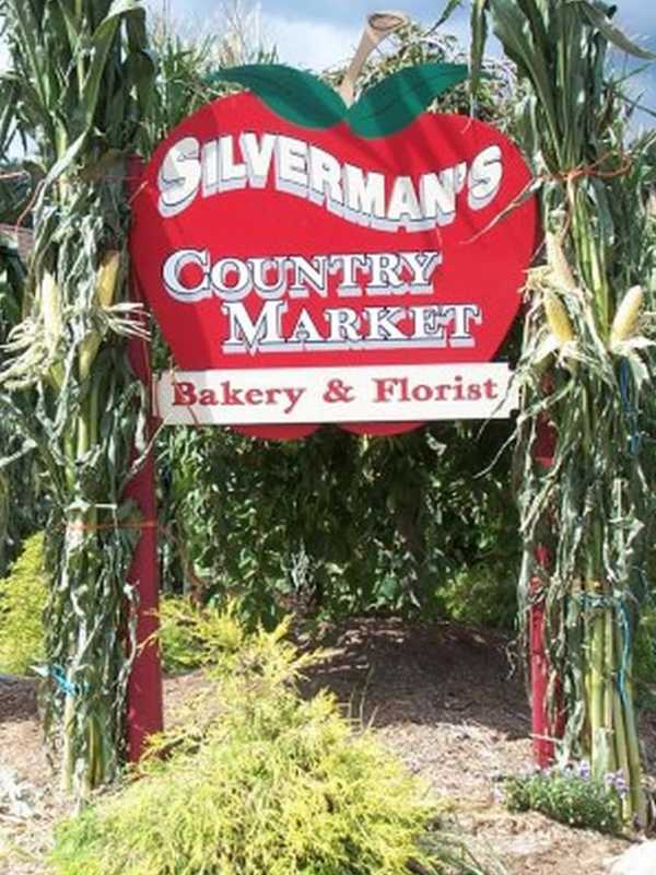Fairfield County Is 'Ripe' With Apple Picking Possibilities