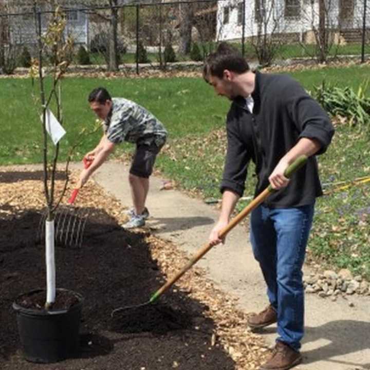 Mild, warm temperatures with sunny skies are forecast for the weekend.