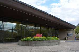 Pace Professor Durahn Taylor To Discuss Vietnam War At Chappaqua Library 