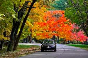 Keep Your Wheels Moving This Fall With Simple Car Maintenance Tips