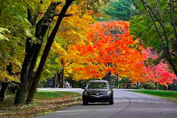 Keep Your Wheels Moving This Fall With Simple Car Maintenance Tips