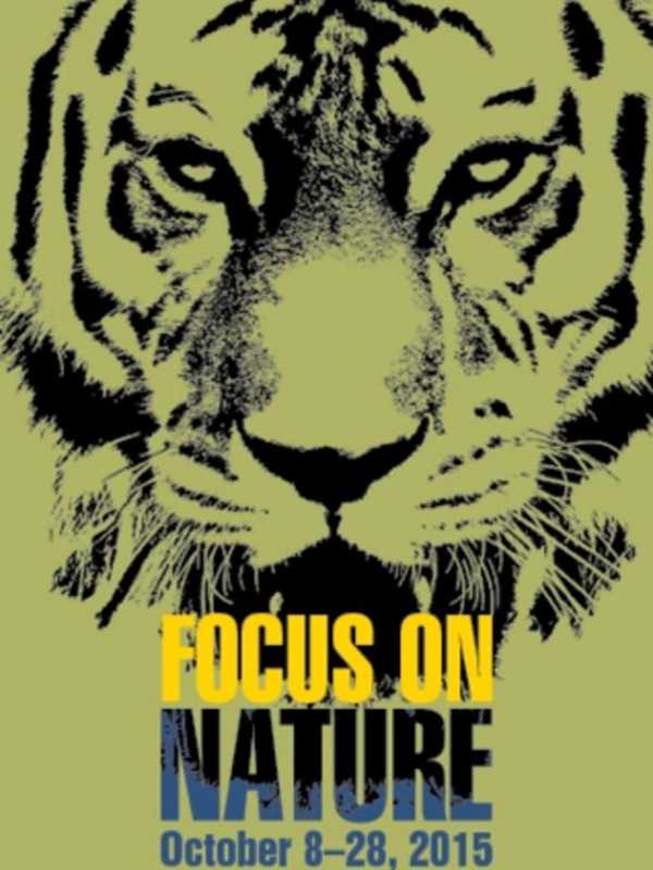 Focus On Nature Film Series To Feature Pace Faculty And Students