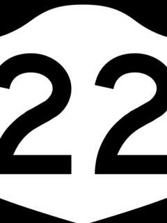 Downed Tree Shuts Down Route 22 Stretch In North Castle