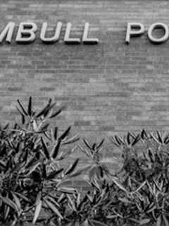 K-9 Officer Demonstration At Trumbull Library