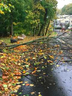Heavy Downpours, Strong Winds Strike Greenwich