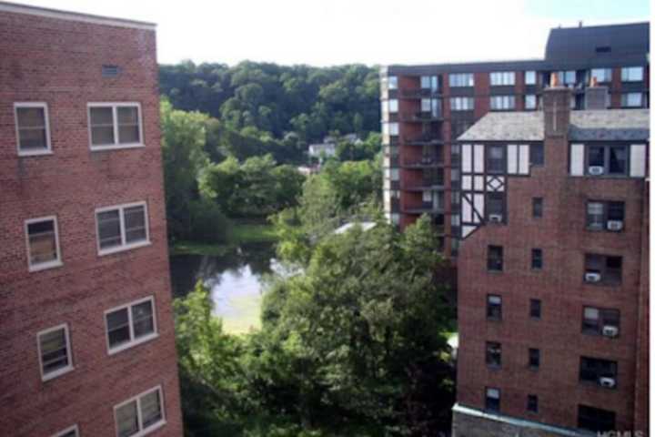 Hartsdale Residents Can Weigh In On Public Parking With Questionnaire 