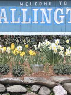 Wallington Officials Seek RFQs For Two Positions