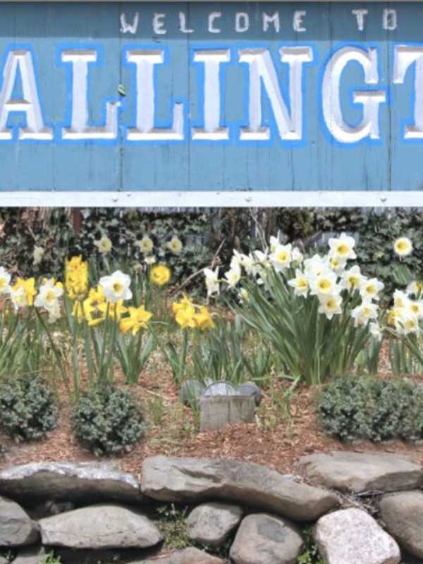 Wallington Officials Seek RFQs For Two Positions