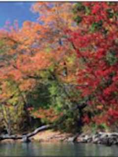 Fall Foliage Season Starts In New York