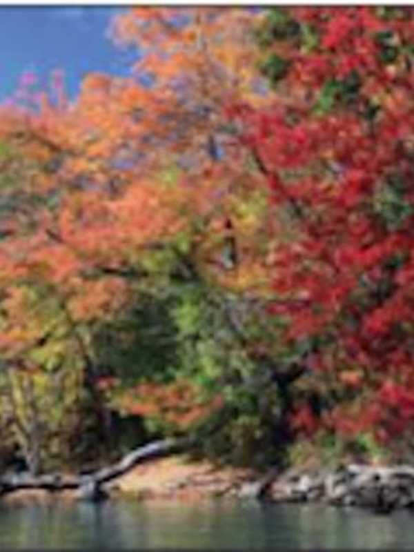 Fall Foliage Season Starts In New York