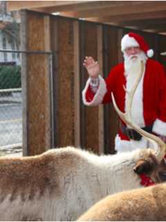 Annual Reindeer Festival & Santa’s Workshop Storms Back Into Greenwich