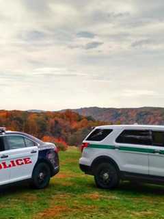 Hyde Park Police Report Flurry Of Car Break-ins