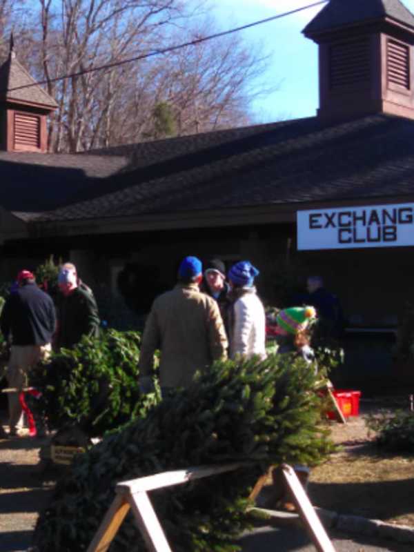 Exchange Club Sells Christmas Trees, Wreaths At Kiwanis Park In New Canaan