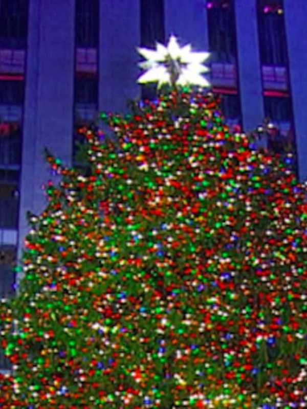 Hudson Valley Tree Shines In Rockefeller Center Christmas Tree Lighting
