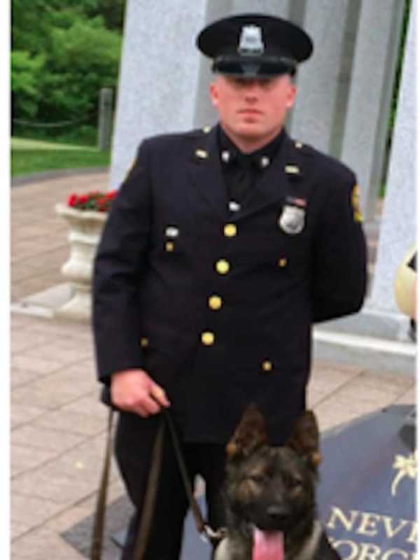 Greenwich K-9 Officer Kato Now Has Body Armor
