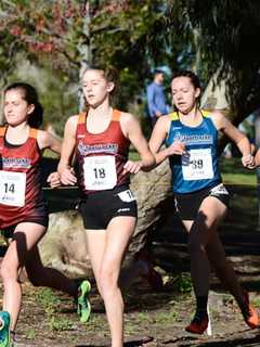 Westport's DeBalsi Earns All-American Honors At National Cross Country Race