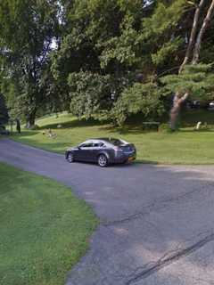 Identity of Man Who Died In Armed Standoff Tops Week’s News In Westchester