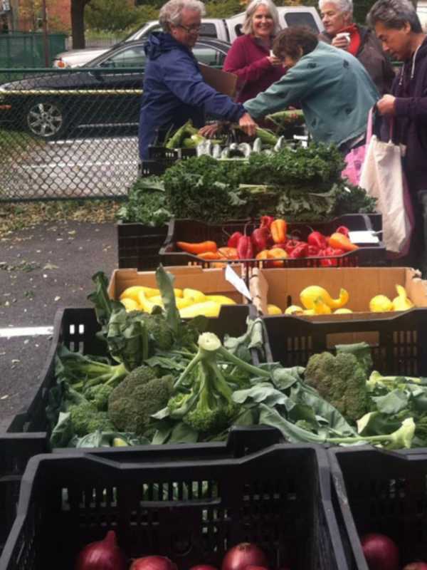 Vegetable Garden Workshops Launch With Potluck Party In Dobbs Ferry