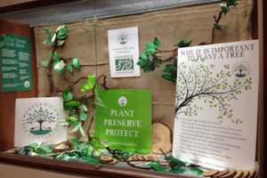 Letter: Greenwich Tree Conservancy Thanks Donors For Anniversary Plantings