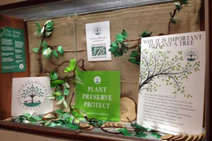Letter: Greenwich Tree Conservancy Thanks Donors For Anniversary Plantings