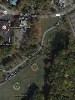 Man Rescues Dog From Icy Pond In Mount Kisco