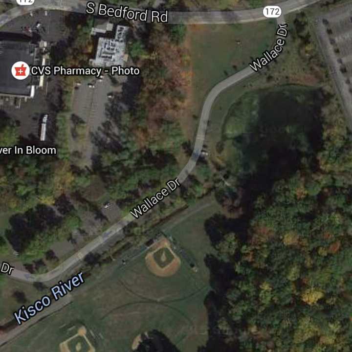 A dog owner waded into the frigid waters of a pond in Mount Kisco Monday morning to rescue his pooch, police said. Wallace Drive, the road on which he was walking, is located in Leonard Park.