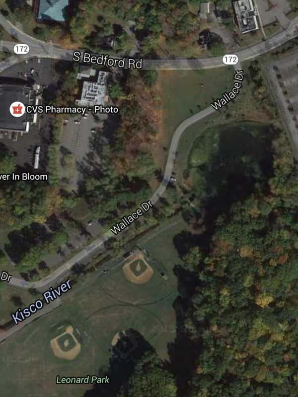 Man Rescues Dog From Icy Pond In Mount Kisco