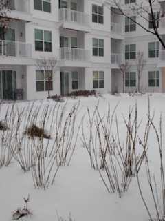 Storm Covers Stamford With A Blanket Of Snow