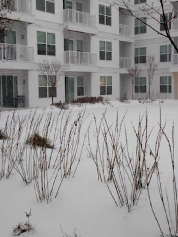 Storm Covers Stamford With A Blanket Of Snow