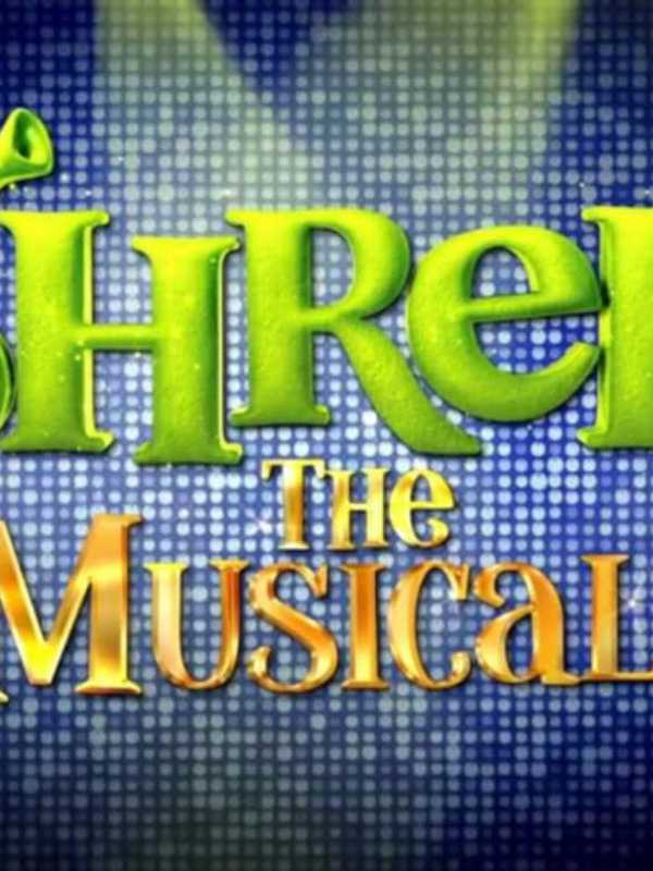 Richard J. Bailey School In Greenburgh Welcomes Shrek To The Stage