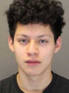 Spring Valley Teen Enters Guilty Pleas In Assault, Robbery