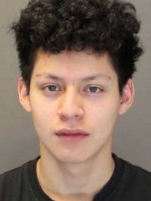 Spring Valley Teen Enters Guilty Pleas In Assault, Robbery