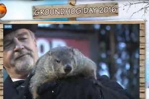 Punxsutawney Phil Predicts An Early Spring