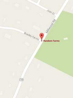 Lost Coonhound Seen Near Random Farms In Chappaqua