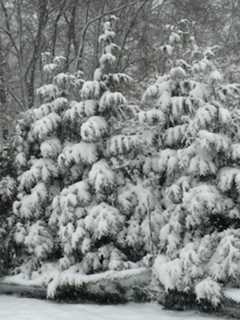Stamford Hit By Second Snowstorm In Two Weeks