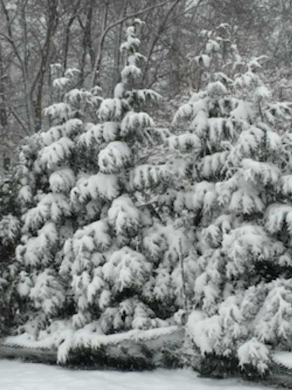 Stamford Hit By Second Snowstorm In Two Weeks