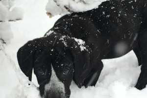 Westport Hit By Heavy Snowfall