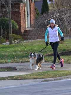 Ridgewood: Dog License Renewals Due In June