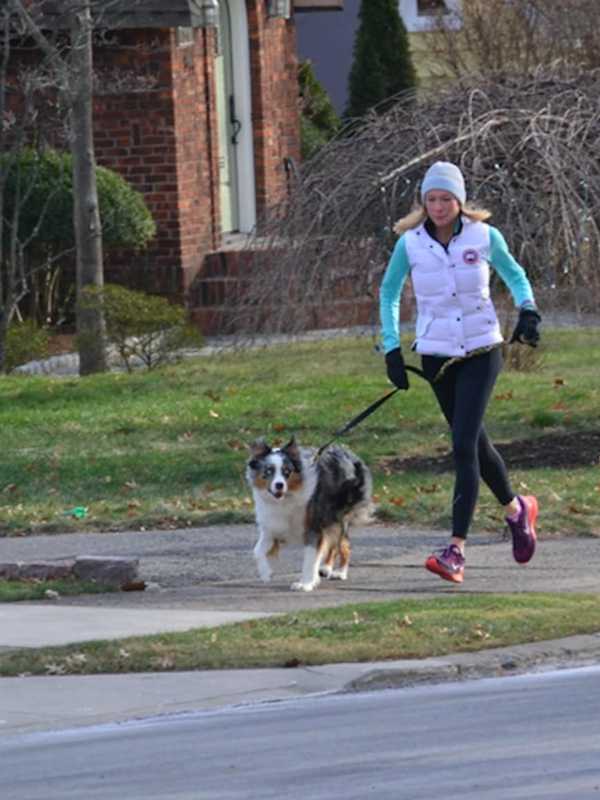 Ridgewood: Dog License Renewals Due In June