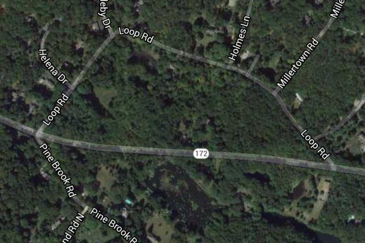Ferrari Goes Off Road, Rolling Into Horse Farm In Bedford