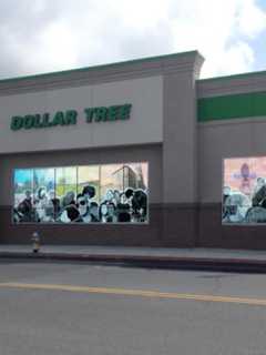 New Rochelle Arts Commission Announces New Mural For Dollar Tree Facade