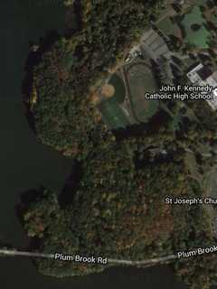 Trooper Rescues Dog That Falls Into Icy Somers Pond