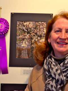 Tree Conservancy Of Darien Holds 'Celebration Of Trees' Photo Contest
